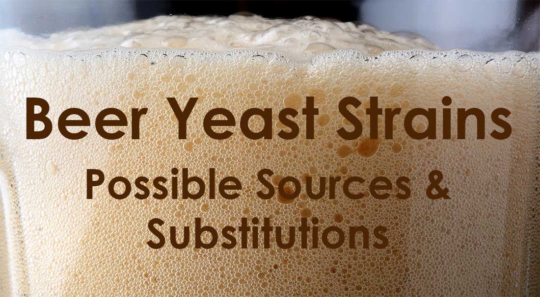 Beer Yeast Substitution Chart