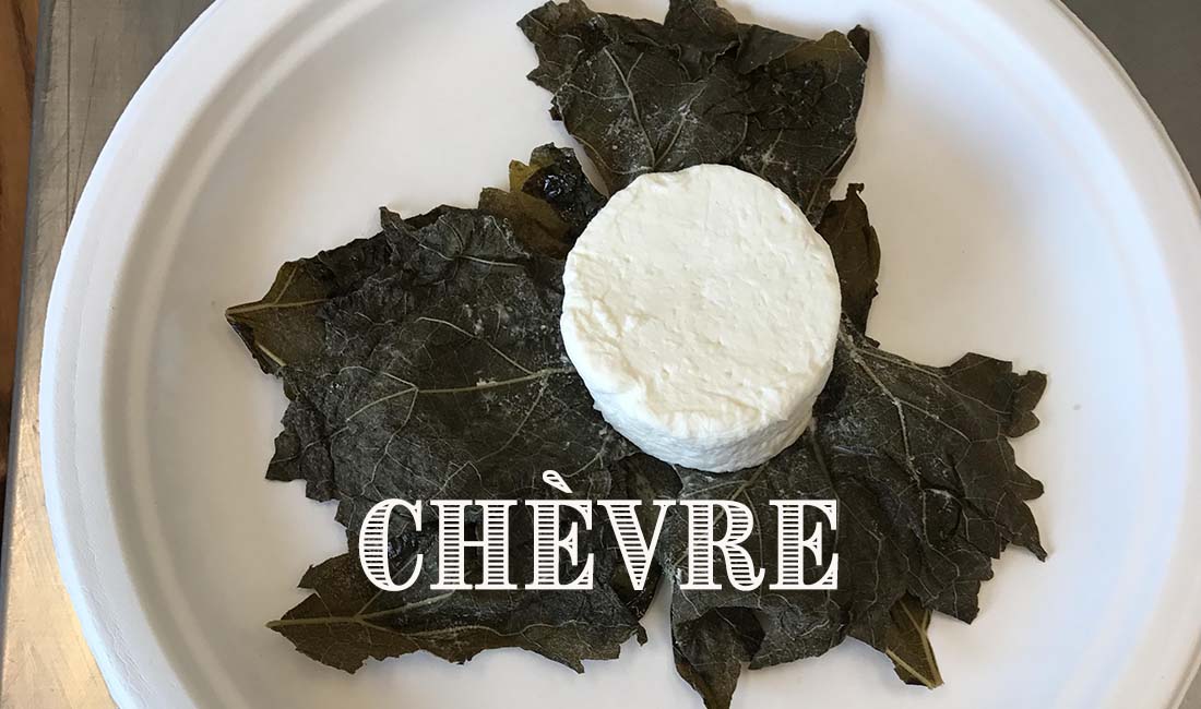 QUICK START - Chevre and Fromage Blanc Cheese Making Kit