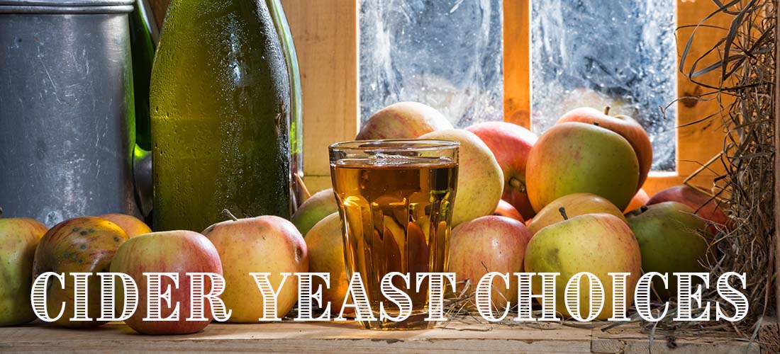 Yeast Choices for Making Hard Cider