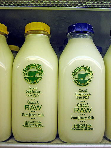 Is Claravale the Best Milk for Cheese making?