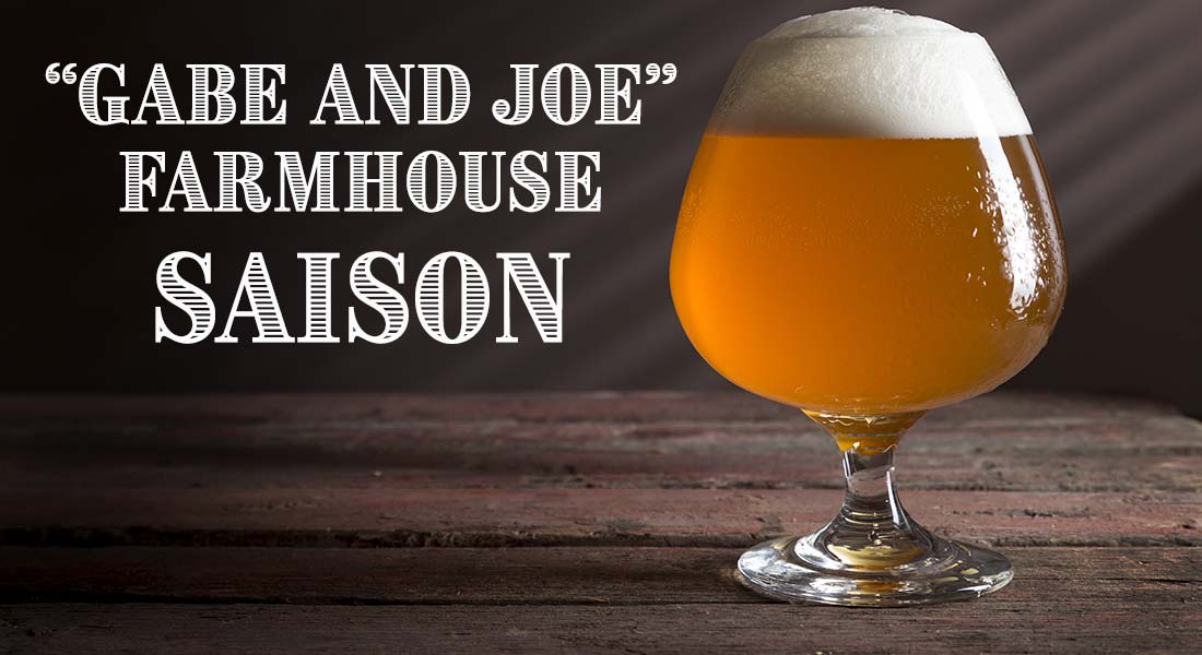 Gabe and Joe Farmhouse Ale Saison Recipe