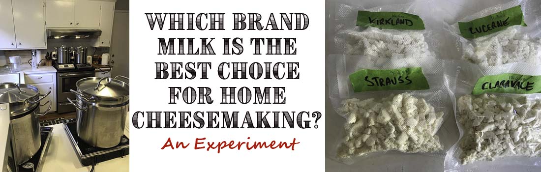 An Experiment to Determine the Best Milk For Cheese Making