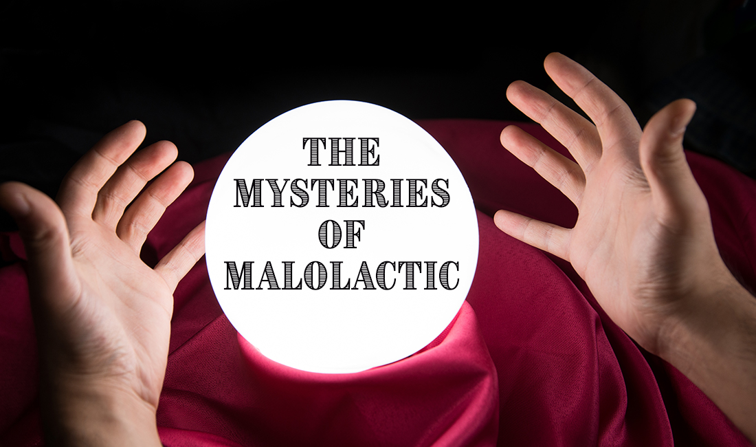 MysteriesOfMalolactic