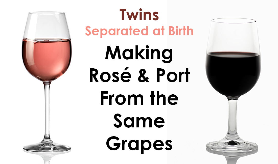 Twins-Separated-at-Birth-Banner