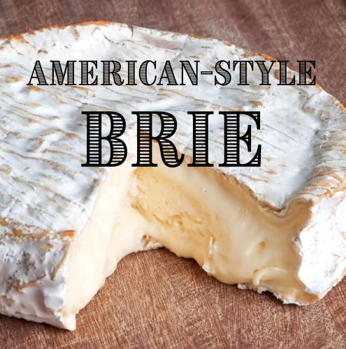 ADD-ON to the Curd Herder™ - Components Needed to Make Brie