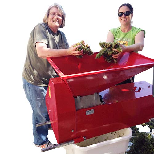 Winemaking Lesson 4 - Basics of White Wine and Fruit Winemaking - Overview of Process and Equipment - Saturday, July 27, 2024. 1:00 PM