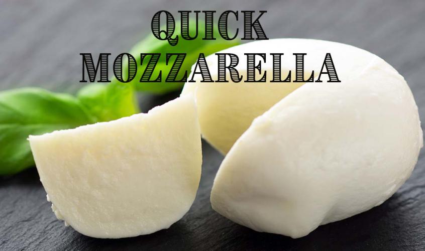 DISCONTINUED - QUICK START - American Mozzarella Cheese Making Kit