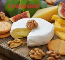 ADD-ON to the Curd Herder - Components Needed to Make Camembert