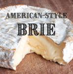 American-Style Brie Cheesemaking Recipe