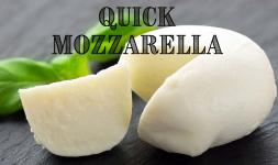 Quick 30 Minute Mozzarella Cheesemaking Recipe