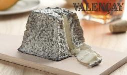 Valencay Cheesemaking Recipe from Goat Milk