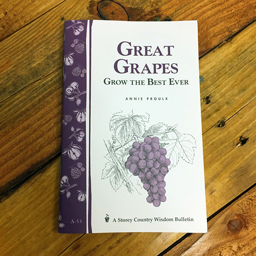 Wine Making Books & Video The Beverage People