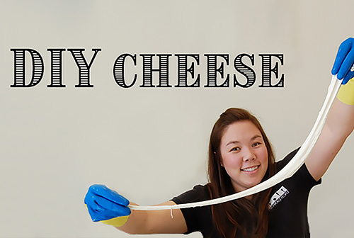 Beginning Cheesemaking Class - Saturday, February 23, 2019, 1 - 4 PM