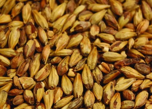 Malt_Briess_Special_Roast