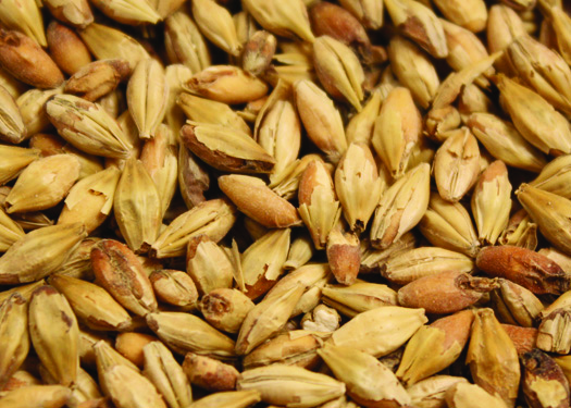 Malt_Melanoidin