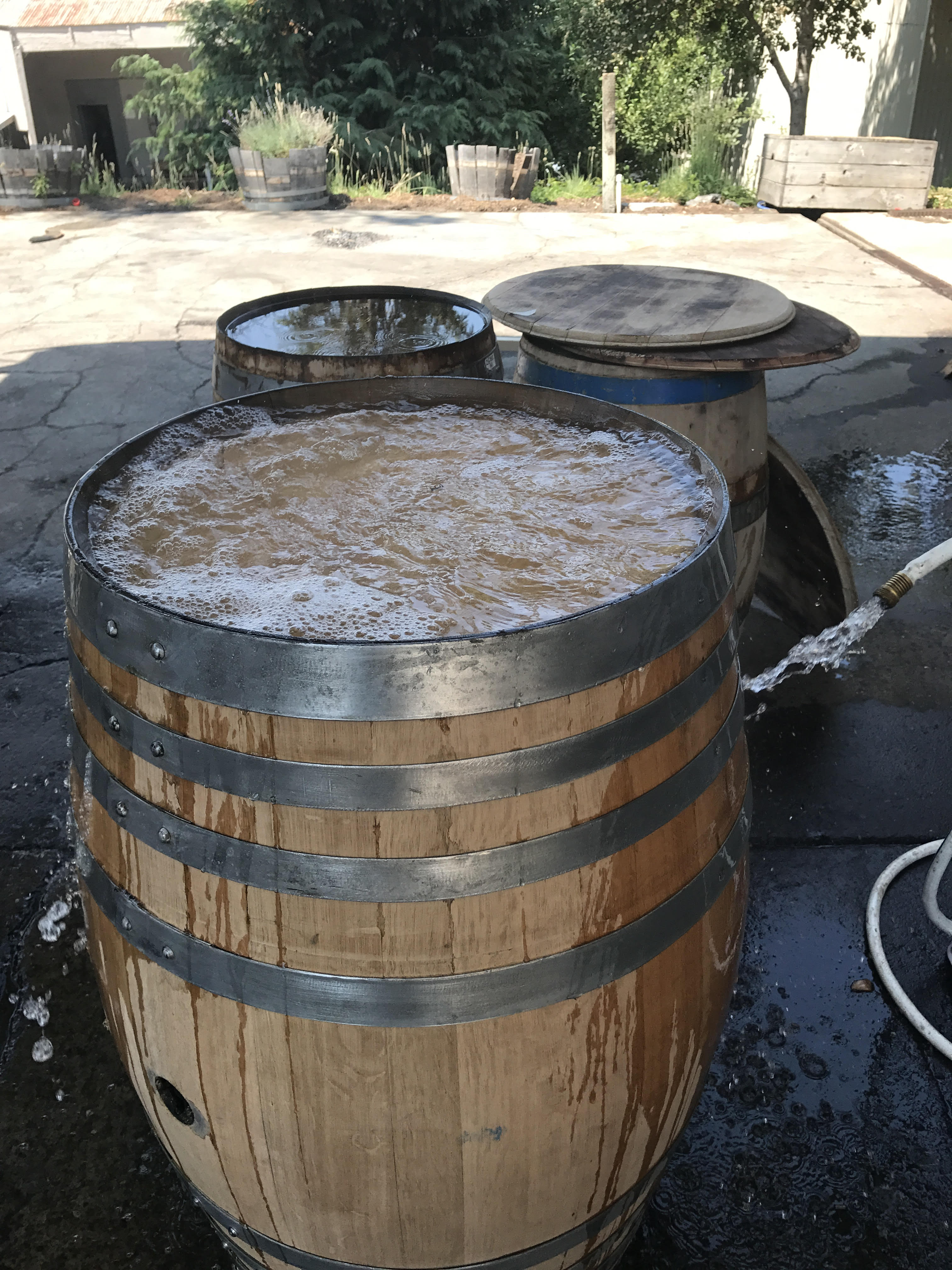 Important Step - Rehydrating Your Wine Barrel