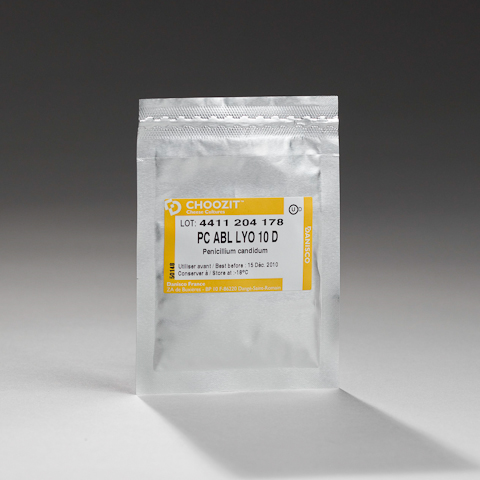 Penicilium Candidum, white mold, ABL (10 D)