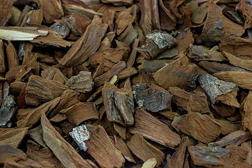 Cinchona Bark - 4 oz