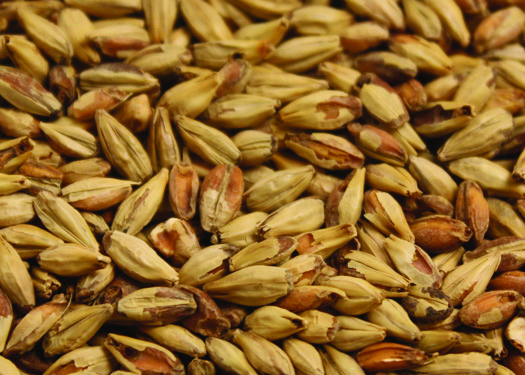 Briess Victory Malt - 27L - 50 lbs.