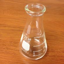 125 mL Erlenmeyer Flask