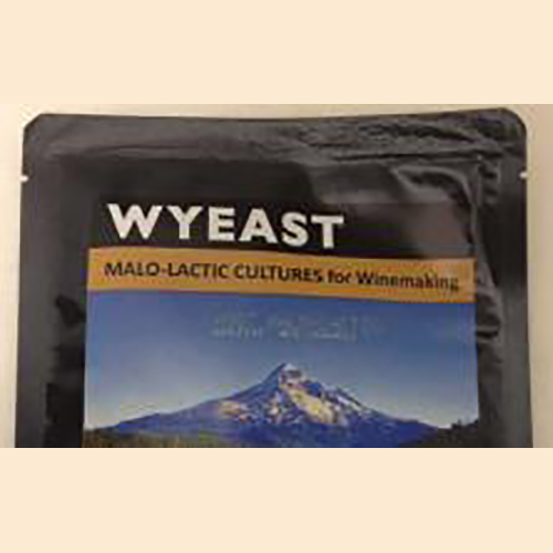 Wyeast 4007 MLF Bacterial Culture